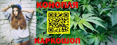 сатива Азнакаево
