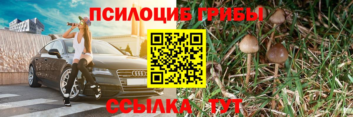 где продают   Вход с VPN  Аргун  Галлюциногенные грибы Cubensis 